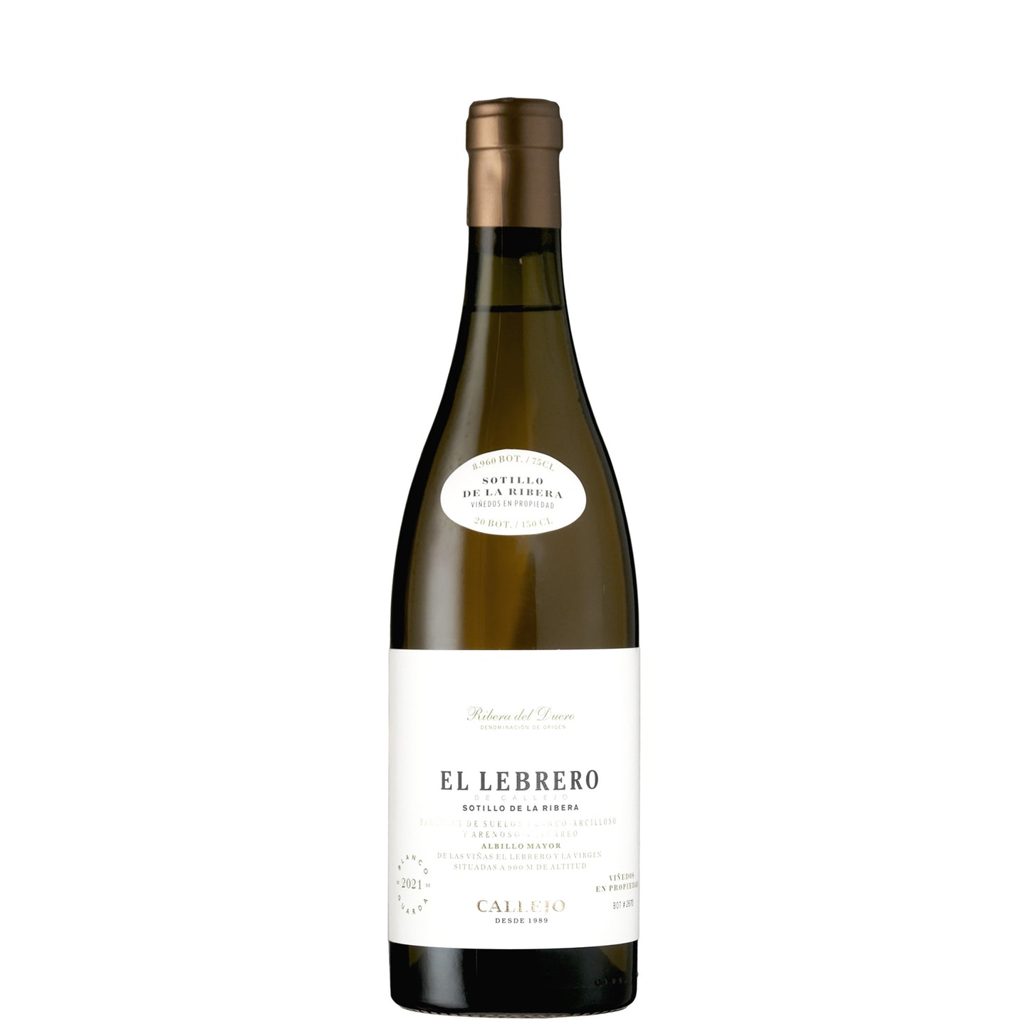 Callejo El Lebrero Blanco on a white background