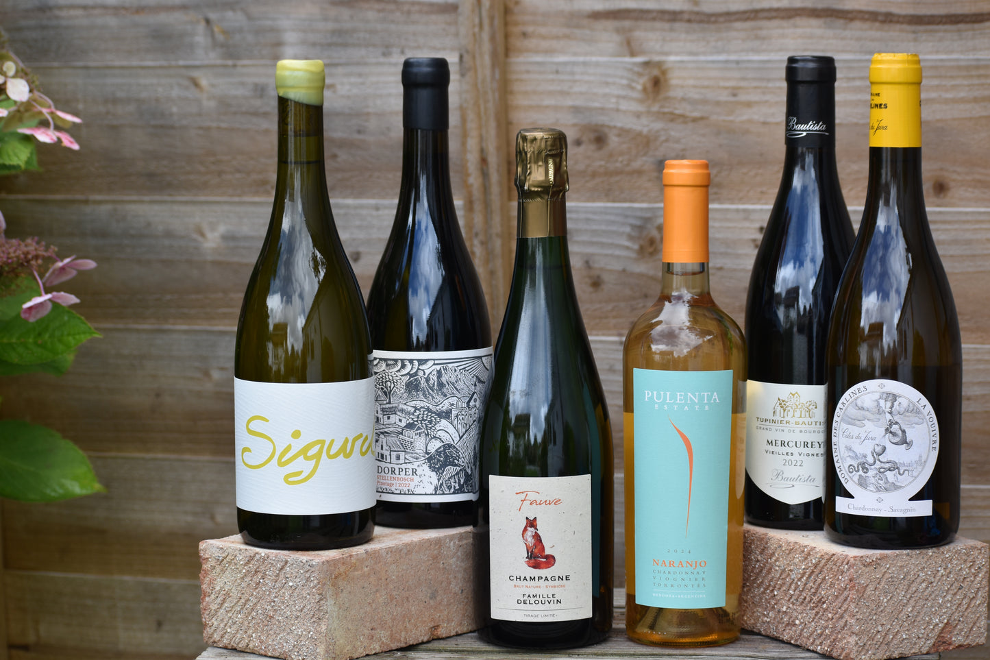 Spy's Autumn Selection | Mixed Case Offer