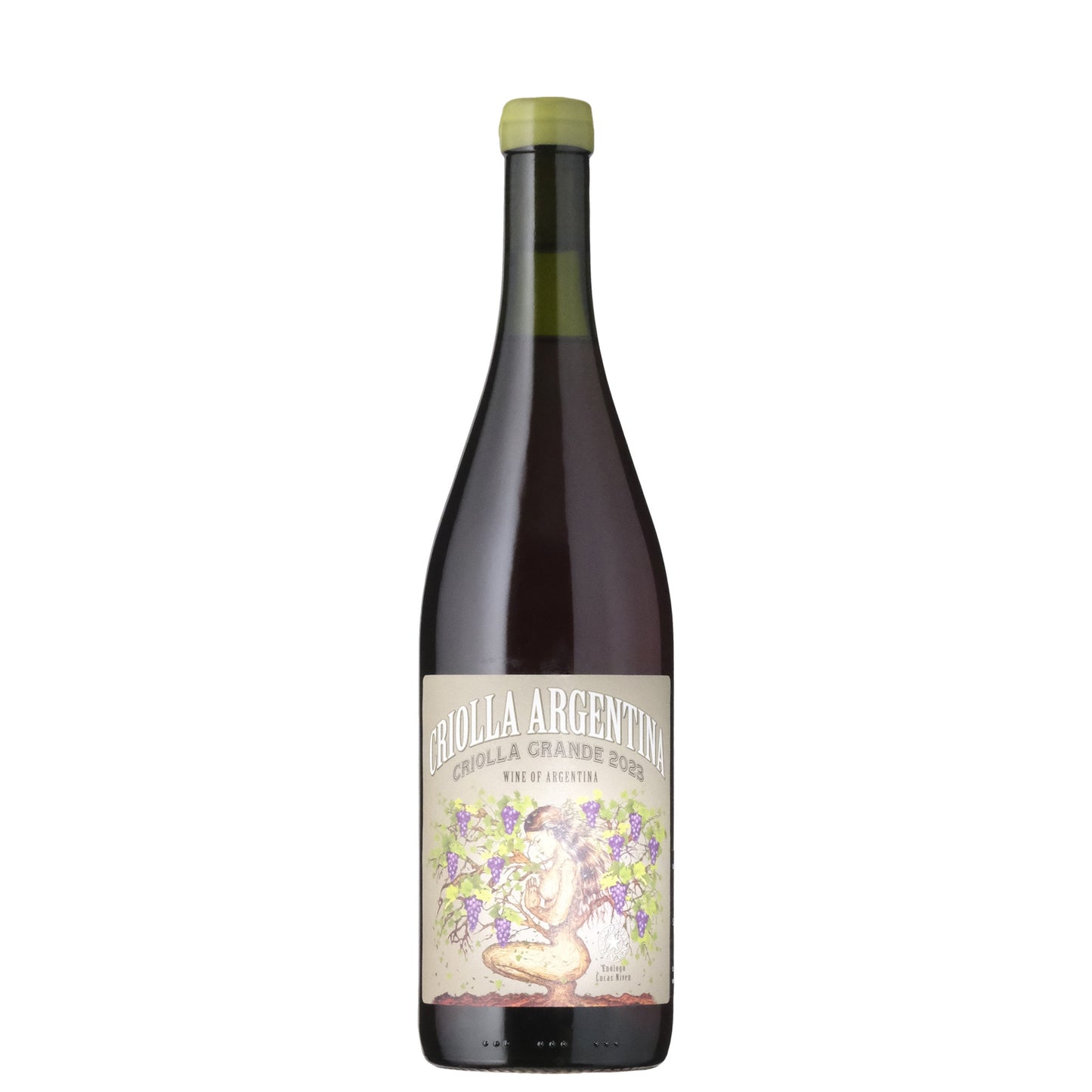 Criolla ' Criolla Grande'