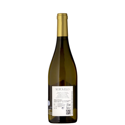 Dry Palomino Jerez Sotovelo Back Label