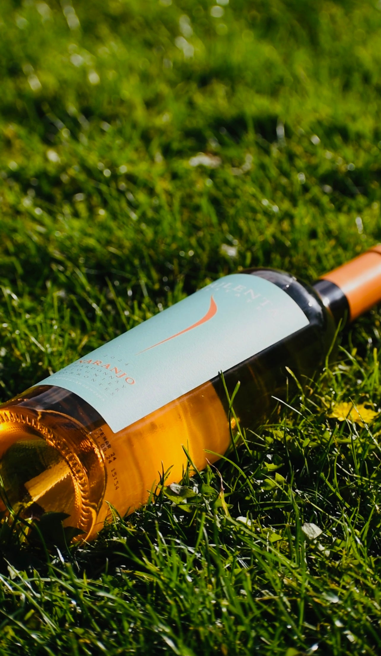 Pulenta Naranjo Orange Wine