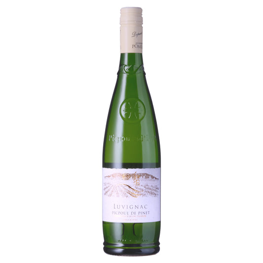 Picpoul de Pinet St Clair Luvignac Wine Bottle on a White Background