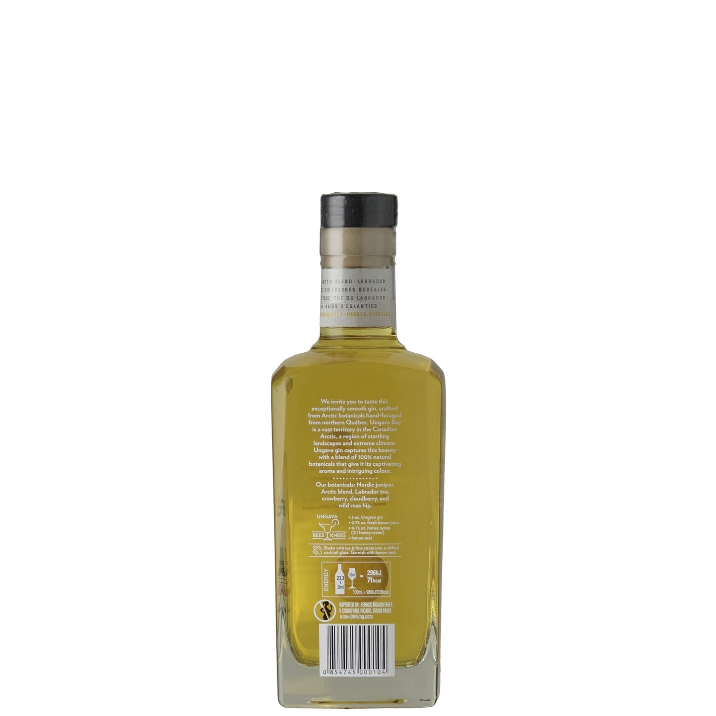 Ungava Canada Gin Back Label Bottle on a White Background